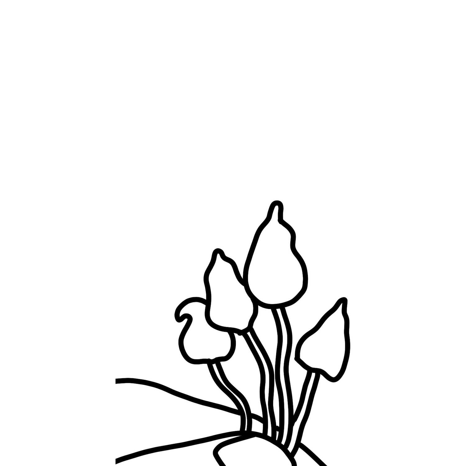 The psilhouette bouquet